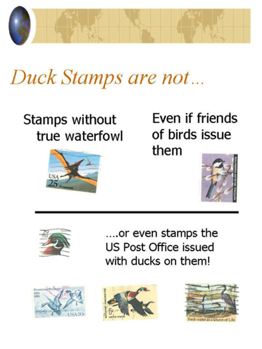 Duck Stamps and Imposters:  3/11