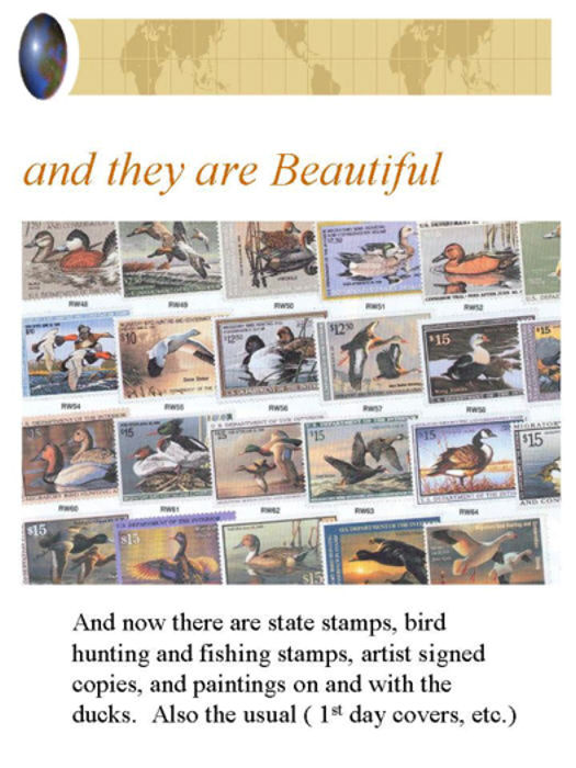 Duck Stamps and Imposters:  5/11